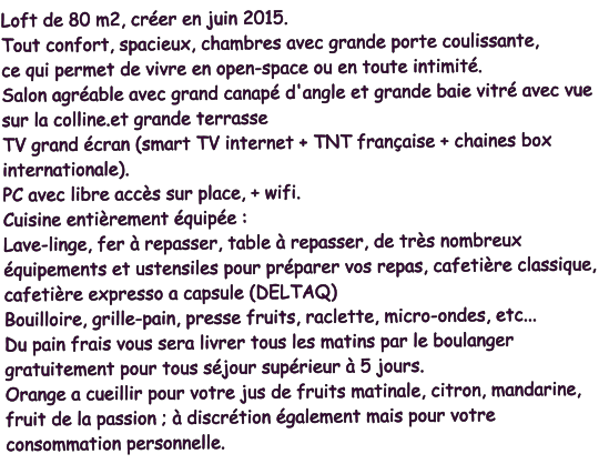 Loft de 80 m2, créer en juin 2015. Tout confort, spacieux, chambres avec grande porte coulissante, ce qui permet de vivre en open-space ou en toute intimité. Salon agréable avec grand canapé d'angle et grande baie vitré avec vue sur la colline.et grande terrasse TV grand écran (smart TV internet + TNT française + chaines box internationale). PC avec libre accès sur place, + wifi. Cuisine entièrement équipée : Lave-linge, fer à repasser, table à repasser, de très nombreux équipements et ustensiles pour préparer vos repas, cafetière classique, cafetière expresso a capsule (DELTAQ) Bouilloire, grille-pain, presse fruits, raclette, micro-ondes, etc... Du pain frais vous sera livrer tous les matins par le boulanger gratuitement pour tous séjour supérieur à 5 jours.Orange a cueillir pour votre jus de fruits matinale, citron, mandarine, fruit de la passion ; à discrétion également mais pour votre consommation personnelle.
